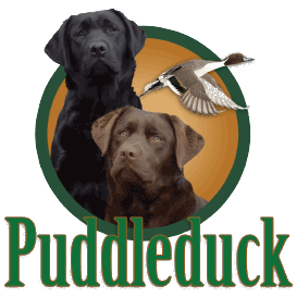 Puddleduck Retrievers